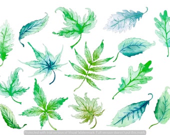 Leaf Decals Green 14-Set, Removable Leaf Wall Decals, Furniture Decals, Kitchen Decor, Bathroom Decor, Hand-Painted Leaves Decals