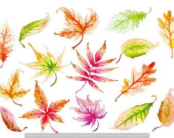 Leaf Decals Orange 14-Set, Removable Fall Leaf Wall Decals, Furniture Decals, Bathroom Stickers, Hand-Painted Leaves Decals