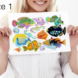 Tropical Fish Wall Decals BIG Set, Home Décor, Bathroom Decals, Fish Tile Decals, Bathroom Décor, Furniture Decals Size 1