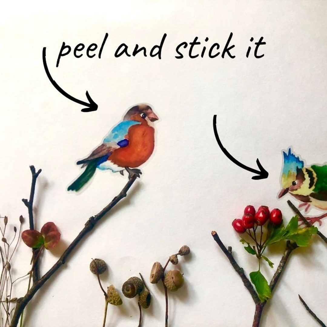 Colorful Birds Decals, 12-set Bird Wall Decals, Furniture Decals ...