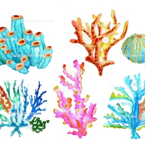 Coral Wall Decals 6-Set, Bathroom Décor, Home Décor, Tile Decals, Bathroom Decals, Furniture Stickers, Hand-Painted Watercolor Decals