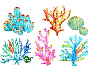 Coral Wall Decals 6-Set, Bathroom Décor, Home Décor, Tile Decals, Bathroom Decals, Furniture Stickers, Hand-Painted Watercolor Decals