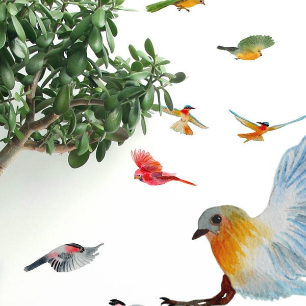 Bird Decals for Wall - Etsy