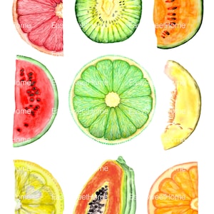 Op de afbeelding: Waterverfillustratie van verschillende gesneden vruchten, waaronder grapefruit, kiwi, watermeloen, limoen, cantaloupe, citroen, papaya en sinaasappel. De vruchten worden afgebeeld in levendige kleuren en gedetailleerde texturen, perfect voor keukendecoratie.