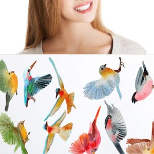 Wall Decals Birds Flying 10-set, Bird Decals for Walls, Furniture ...