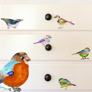 Colorful Birds Decals, 12-Set Bird Wall Decals, Furniture Decals, Bathroom Kitchen Living Room Stickers, Furniture Decals