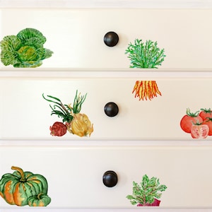 May include: White kitchen cabinets with a variety of hand-painted vegetable decals. The decals include a green cabbage, a bunch of carrots, a green leafy vegetable, a bunch of green onions with a red onion and a yellow onion, a green and yellow squash, and a cluster of red tomatoes.