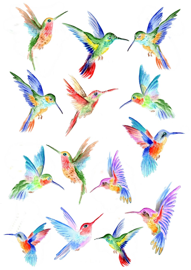 Hummingbird Wall Decals 14set Hummingbird Vinyl Decals for Etsy UK