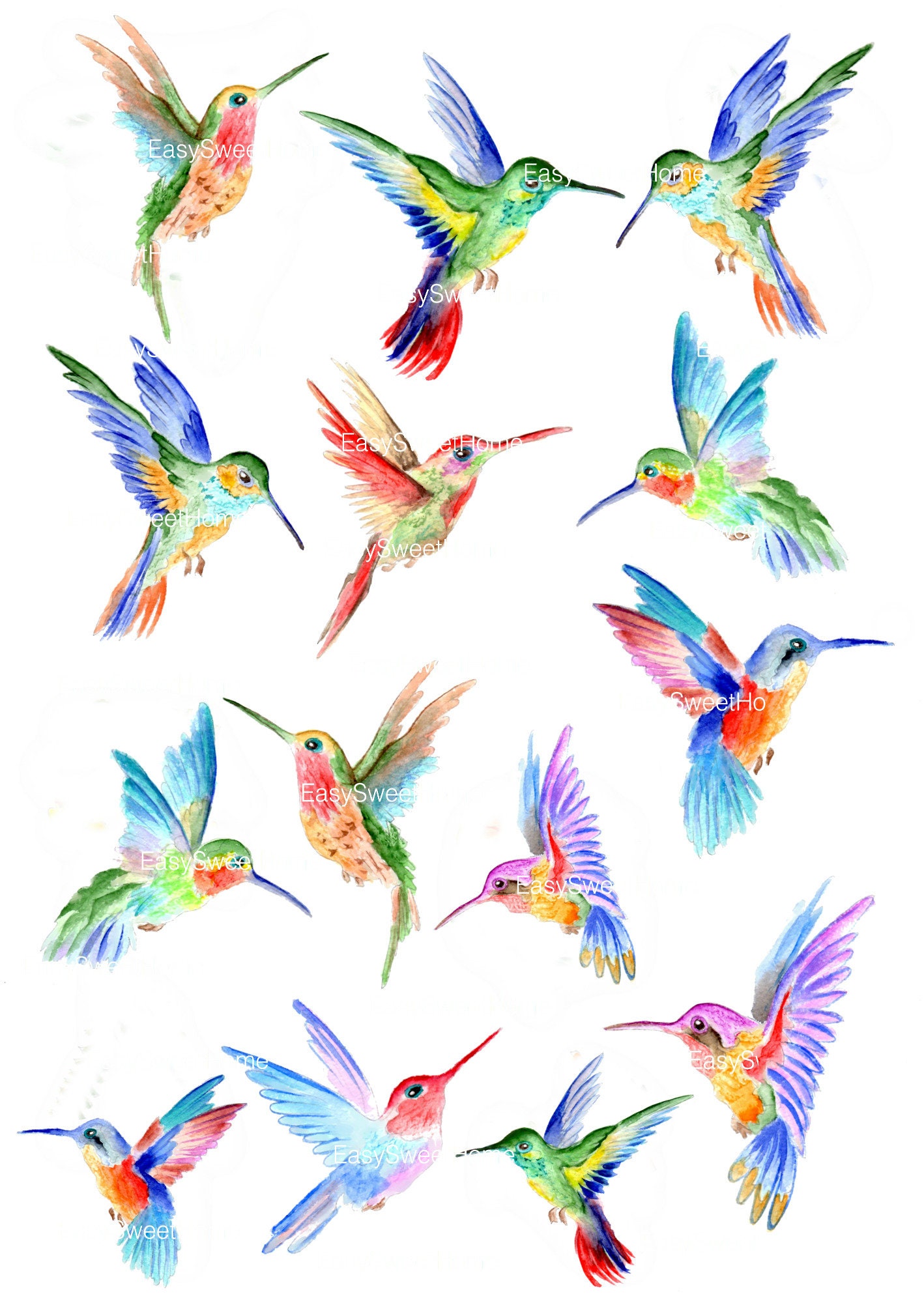 Hummingbird Wall Decals 14set Hummingbird Vinyl Decals for Etsy UK