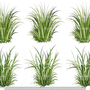 Basic Grass Decals, Sectioned Grass Decals, Realistic Grass Wall Art, Hand-Painted Decals for Walls, Tile and Furniture, Home Décor