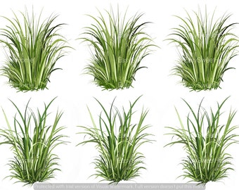 Basic Grass Decals, Sectioned Grass Decals, Realistic Grass Wall Art, Hand-Painted Decals for Walls, Tile and Furniture, Home Décor