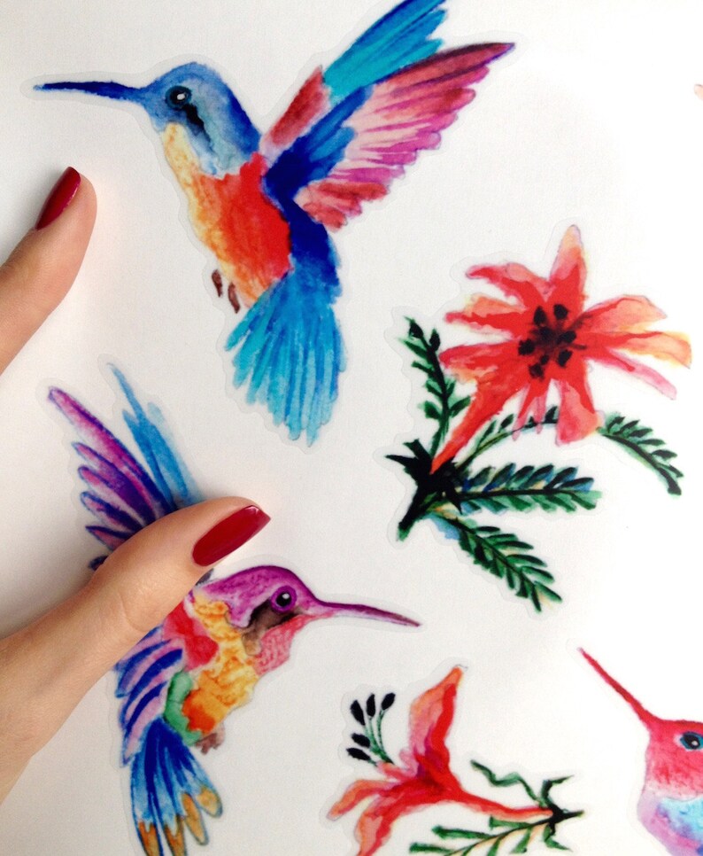 Hummingbird Wall Decals 14set Hummingbird Vinyl Decals for Etsy UK