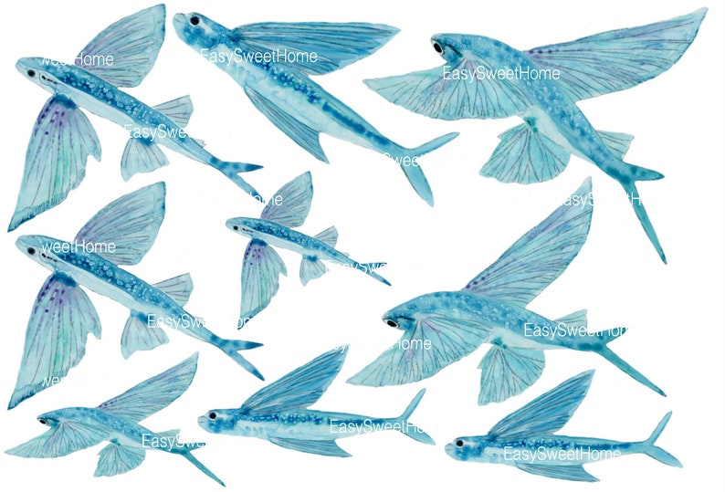 Wandtattoo Fliegende Fische ab 16,99 EUR, Fliesenaufkleber, Wandaufkleber, Möbelaufkleber, Handgemalte Unterwasserwelt Aufkleber für Bad Bild 4