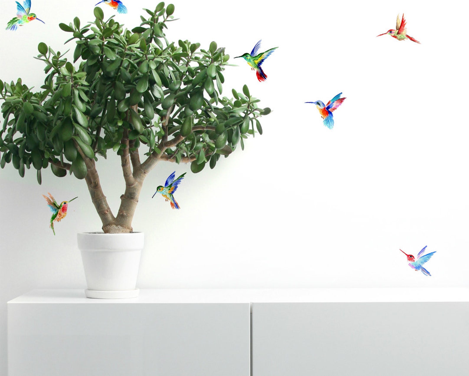 Hummingbird Wall Decals 14set Hummingbird Vinyl Decals for Etsy UK