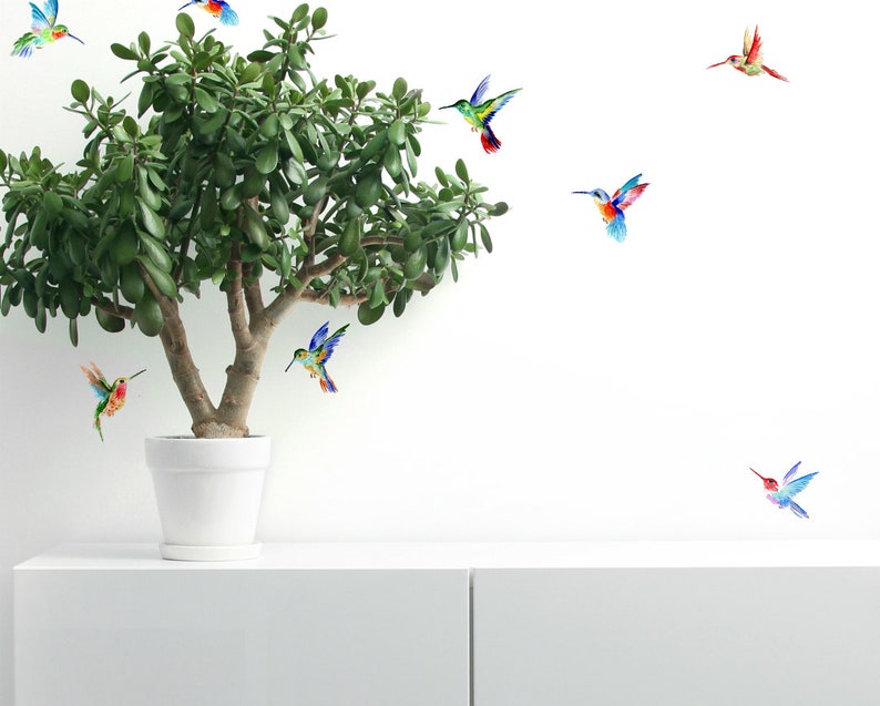 Hummingbird Wall Decals 14set Hummingbird Vinyl Decals for Etsy UK