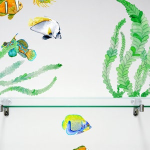 Coral Reef Fish Decals, Bathroom Décor, Bathroom Decals, Fish Wall Decals, Hand-Drawn Fish Decals, Home Décor image 3