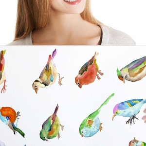 Colorful Birds Decals, 12-set Bird Wall Decals, Furniture Decals ...