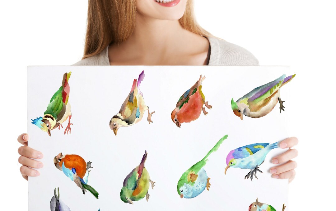 Colorful Birds Decals 12-set Bird Wall Decals Furniture - Etsy Canada