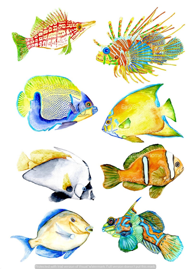 Coral Reef Fish Decals, Bathroom Décor, Bathroom Decals, Fish Wall Decals, Hand-Drawn Fish Decals, Home Décor image 1