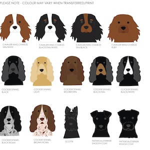 May include: A chart with illustrations of different dog breeds, including Cavalier King Charles Spaniel, Cocker Spaniel, and Patterdale Terrier. The chart shows various color variations for each breed.