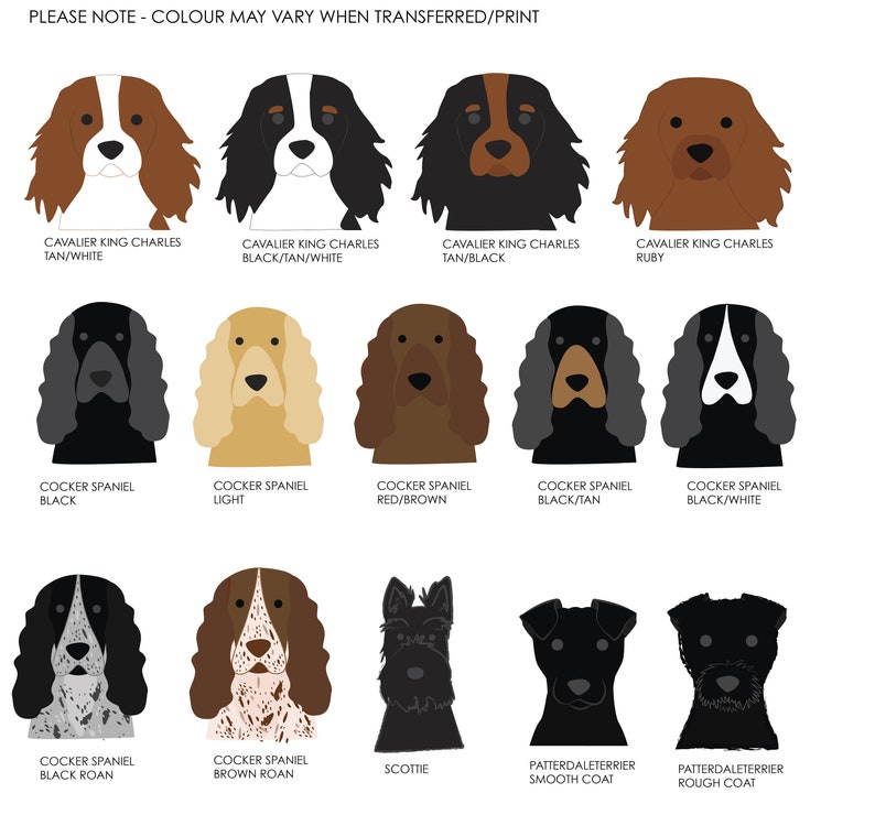 May include: A chart with illustrations of different dog breeds, including Cavalier King Charles Spaniel, Cocker Spaniel, and Patterdale Terrier. The chart shows various color variations for each breed.
