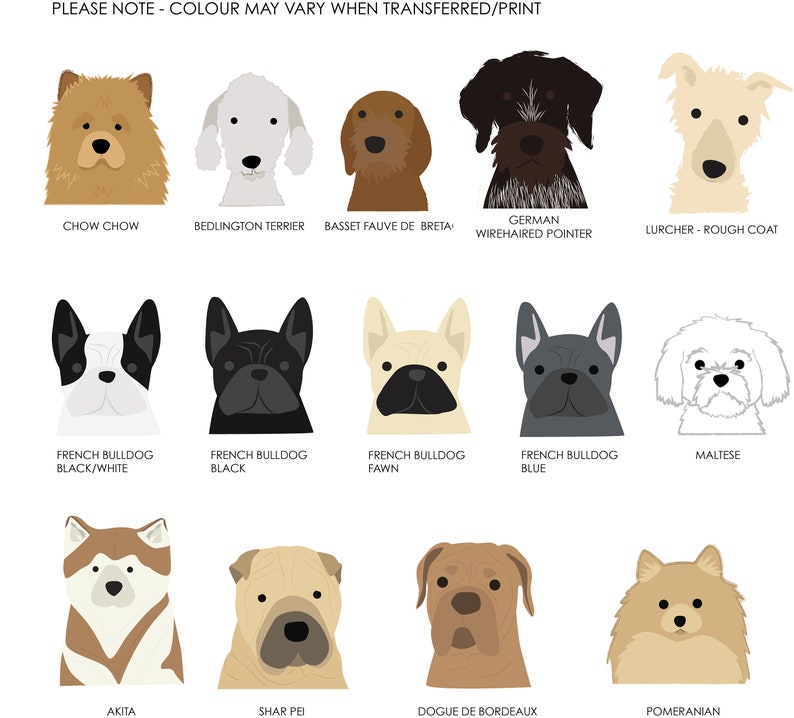 May include: A chart with illustrations of different dog breeds, including Chow Chow, Bedlington Terrier, Basset Fauve de Bretagne, German Wirehaired Pointer, Lurcher, French Bulldog, Maltese, Akita, Shar Pei, Dogue de Bordeaux, and Pomeranian.