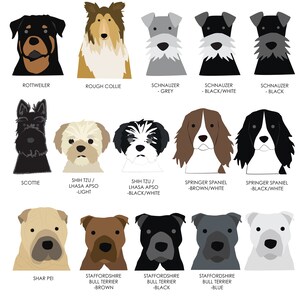 K&ouml;nnte beinhalten: Illustration von 12 verschiedenen Hunderassen, darunter Rottweiler, Rough Collie, Schnauzer, Scottish Terrier, Shih Tzu, Springer Spaniel, Shar Pei und Staffordshire Bull Terrier. Jede Rasse ist in einer anderen Farbvariante dargestellt.