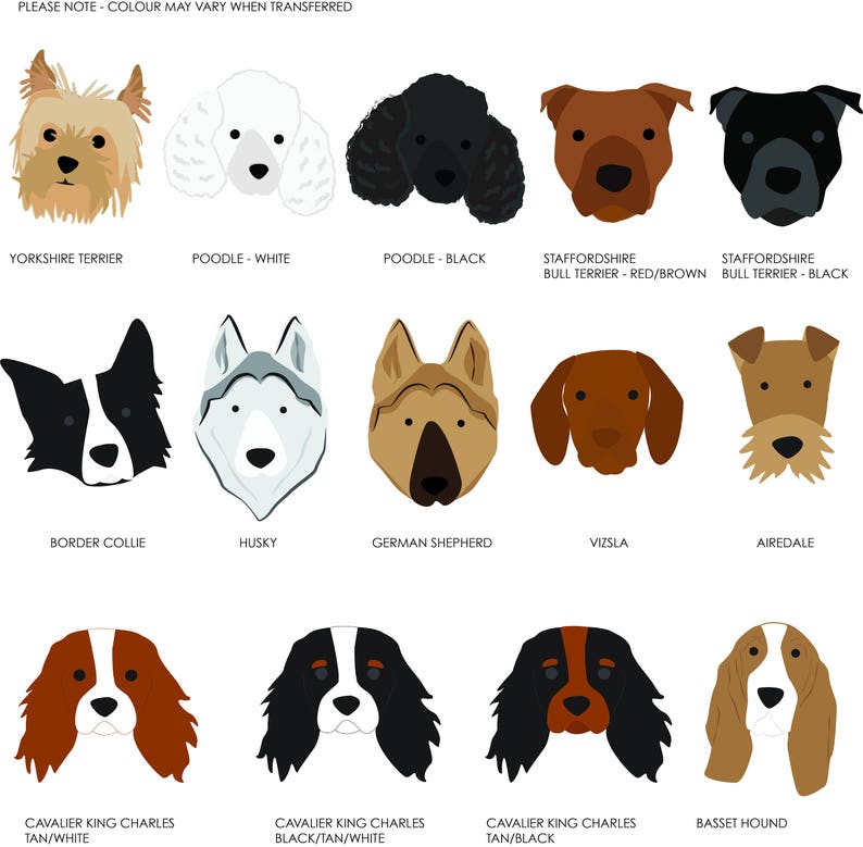 May include: A chart with illustrations of different dog breeds, including a Yorkshire Terrier, Poodle, Staffordshire Bull Terrier, Border Collie, Husky, German Shepherd, Vizsla, Airedale, and Cavalier King Charles Spaniel. The chart also includes the breed names.