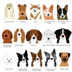 K&ouml;nnte beinhalten: Ein Diagramm mit 15 verschiedenen Hunderassen, jede mit einer stilisierten Illustration des Hundekopfes. Die Rassen sind: Afghanischer Windhund, Airedale Terrier, Akita, Australian Cattle Dog (Hell), Australian Cattle Dog (Dunkel), Basset Fauve de Bretagne, Basset Hound, Beagle, Bedlington Terrier, Berner Sennenhund, Bichon Fris&eacute;, Border Collie (Schwarz/Wei&szlig;), Border Collie (Braun/Wei&szlig;), Australian Cattle Dog (Blue Merle) und Border Terrier.