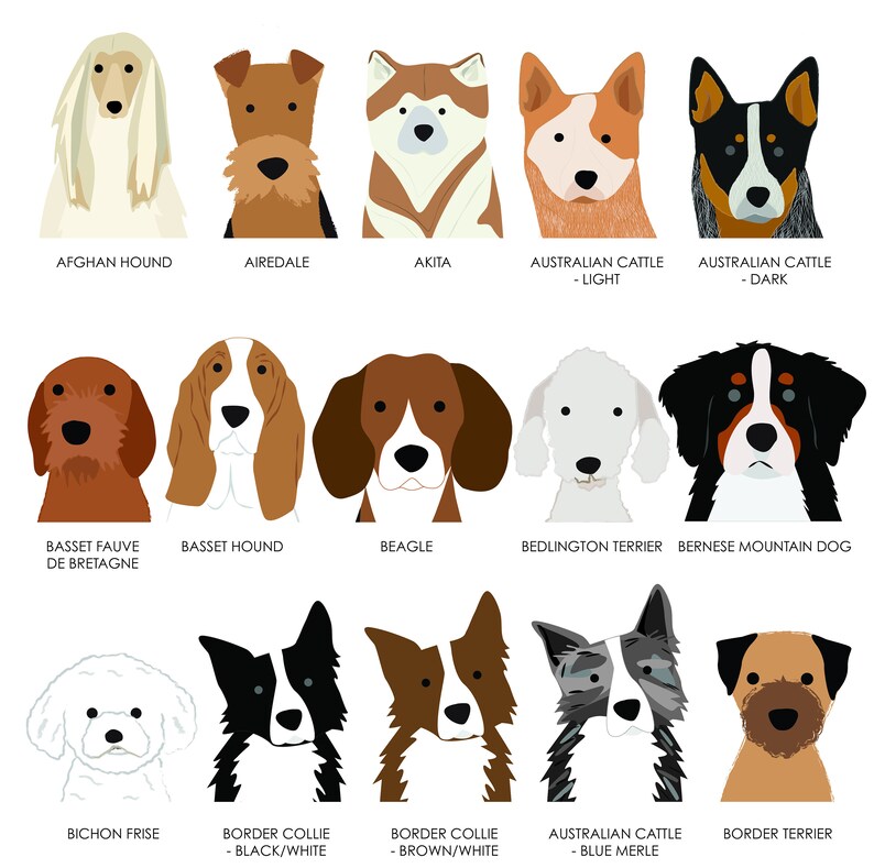 K&ouml;nnte beinhalten: Ein Diagramm mit 15 verschiedenen Hunderassen, jede mit einer stilisierten Illustration des Hundekopfes. Die Rassen sind: Afghanischer Windhund, Airedale Terrier, Akita, Australian Cattle Dog (Hell), Australian Cattle Dog (Dunkel), Basset Fauve de Bretagne, Basset Hound, Beagle, Bedlington Terrier, Berner Sennenhund, Bichon Fris&eacute;, Border Collie (Schwarz/Wei&szlig;), Border Collie (Braun/Wei&szlig;), Australian Cattle Dog (Blue Merle) und Border Terrier.