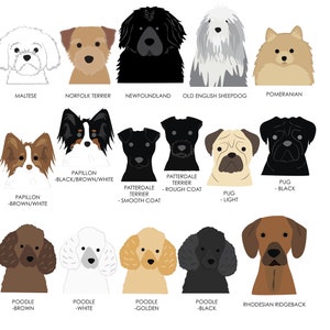 K&ouml;nnte beinhalten: Illustration von 12 verschiedenen Hunderassen, darunter Malteser, Norfolk Terrier, Neufundl&auml;nder, Old English Sheepdog, Zwergspitz, Papillon, Patterdale Terrier, Mops, Pudel und Rhodesian Ridgeback. Jede Rasse ist in einem einfachen, cartoonartigen Stil mit einer anderen Farbvariante dargestellt.