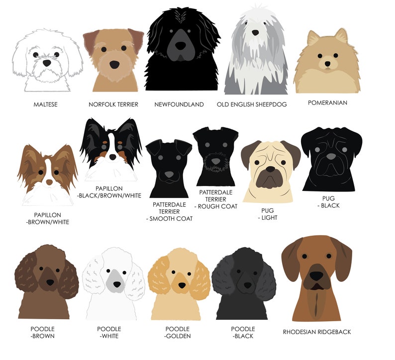 K&ouml;nnte beinhalten: Illustration von 12 verschiedenen Hunderassen, darunter Malteser, Norfolk Terrier, Neufundl&auml;nder, Old English Sheepdog, Zwergspitz, Papillon, Patterdale Terrier, Mops, Pudel und Rhodesian Ridgeback. Jede Rasse ist in einem einfachen, cartoonartigen Stil mit einer anderen Farbvariante dargestellt.