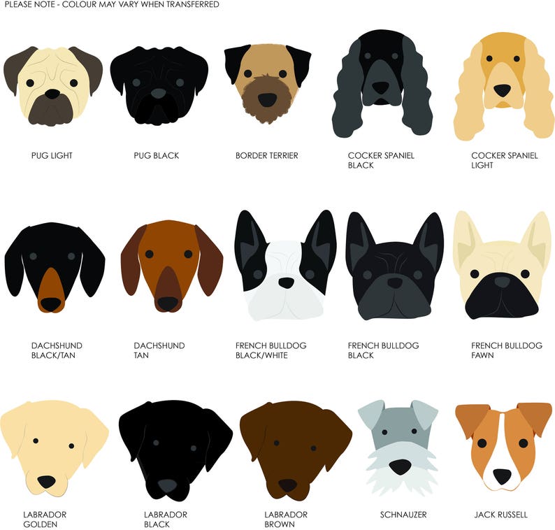 May include: A chart of 12 different dog breeds, each illustrated with a simple cartoon image of the dog's head. The breeds are: Pug (light and black), Border Terrier, Cocker Spaniel (black and light), Dachshund (black/tan and tan), French Bulldog (black/white, black, and fawn), Labrador (golden, black, and brown), Schnauzer, and Jack Russell.