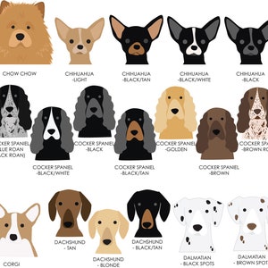 K&ouml;nnte beinhalten: Illustration von 10 verschiedenen Hunderassen, darunter Chow Chow, Chihuahua, Cocker Spaniel, Corgi und Dalmatiner. Jede Rasse wird in verschiedenen Farben und Mustern gezeigt.