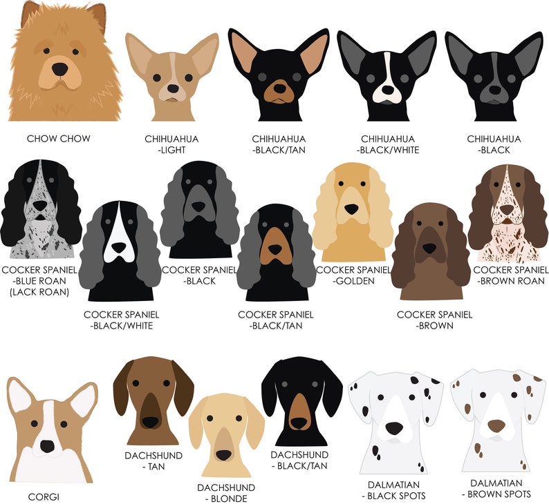 K&ouml;nnte beinhalten: Illustration von 10 verschiedenen Hunderassen, darunter Chow Chow, Chihuahua, Cocker Spaniel, Corgi und Dalmatiner. Jede Rasse wird in verschiedenen Farben und Mustern gezeigt.
