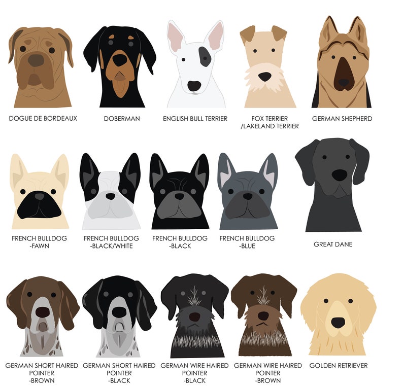 K&ouml;nnte beinhalten: Illustration von 12 verschiedenen Hunderassen, darunter Dobermann, Franz&ouml;sische Bulldogge, Deutscher Sch&auml;ferhund und Golden Retriever. Jede Rasse ist in einem einfachen, cartoonartigen Stil mit wei&szlig;em Hintergrund dargestellt.