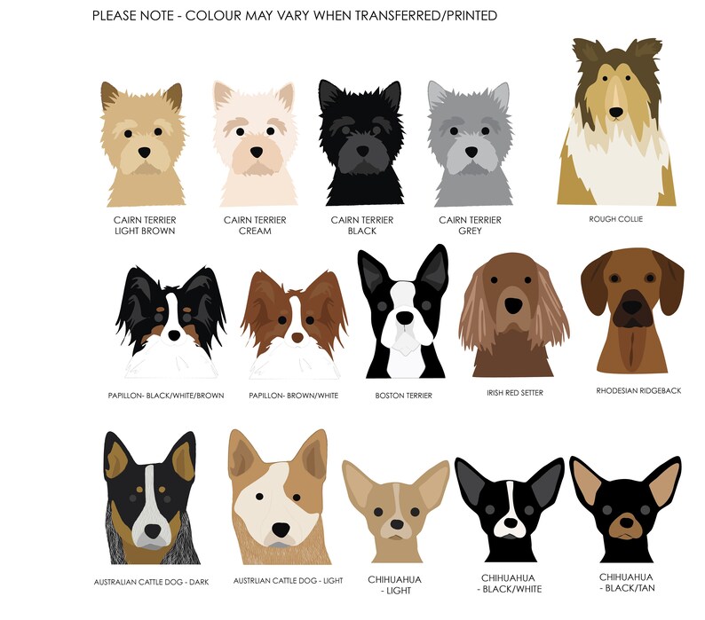 May include: A chart with illustrations of different dog breeds, including a Cairn Terrier, Papillon, Boston Terrier, Irish Red Setter, Rhodesian Ridgeback, Australian Cattle Dog, and Chihuahua. The breeds are shown in various colors, including light brown, cream, black, grey, brown, white, and tan.