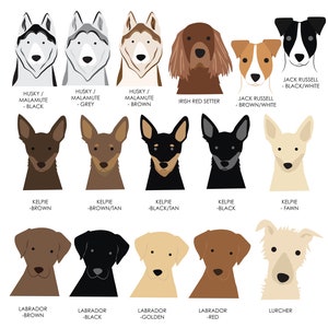 K&ouml;nnte beinhalten: Eine Tabelle mit verschiedenen Hunderassen mit ihren Namen und Farben. Die Rassen umfassen Husky, Malamute, Irish Red Setter, Jack Russell, Kelpie, Labrador und Lurcher.