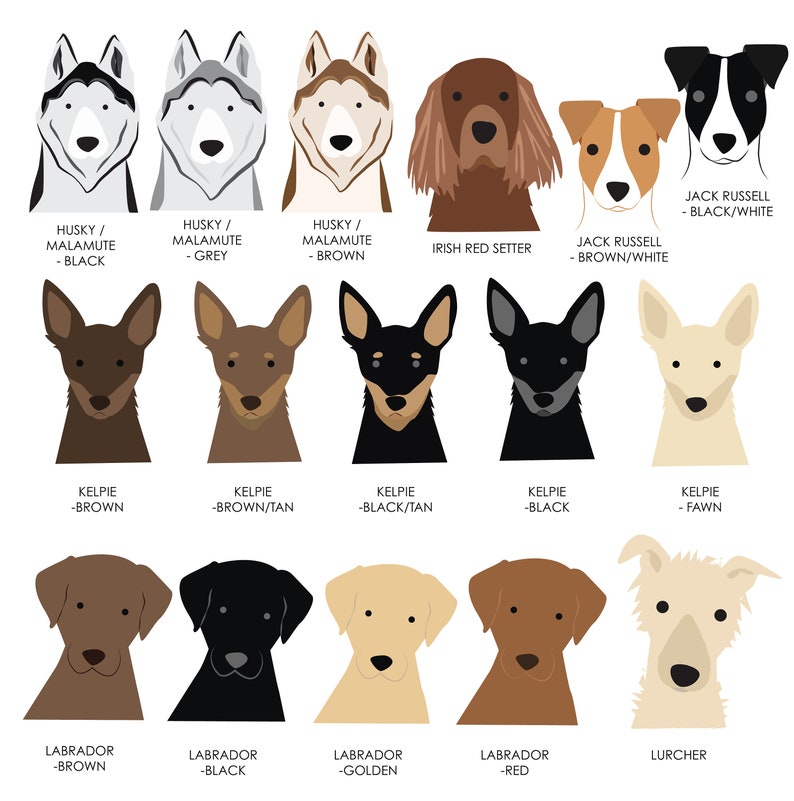 K&ouml;nnte beinhalten: Eine Tabelle mit verschiedenen Hunderassen mit ihren Namen und Farben. Die Rassen umfassen Husky, Malamute, Irish Red Setter, Jack Russell, Kelpie, Labrador und Lurcher.