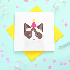 Carte d'anniversaire chat Ragdoll, pour les amoureux des chats