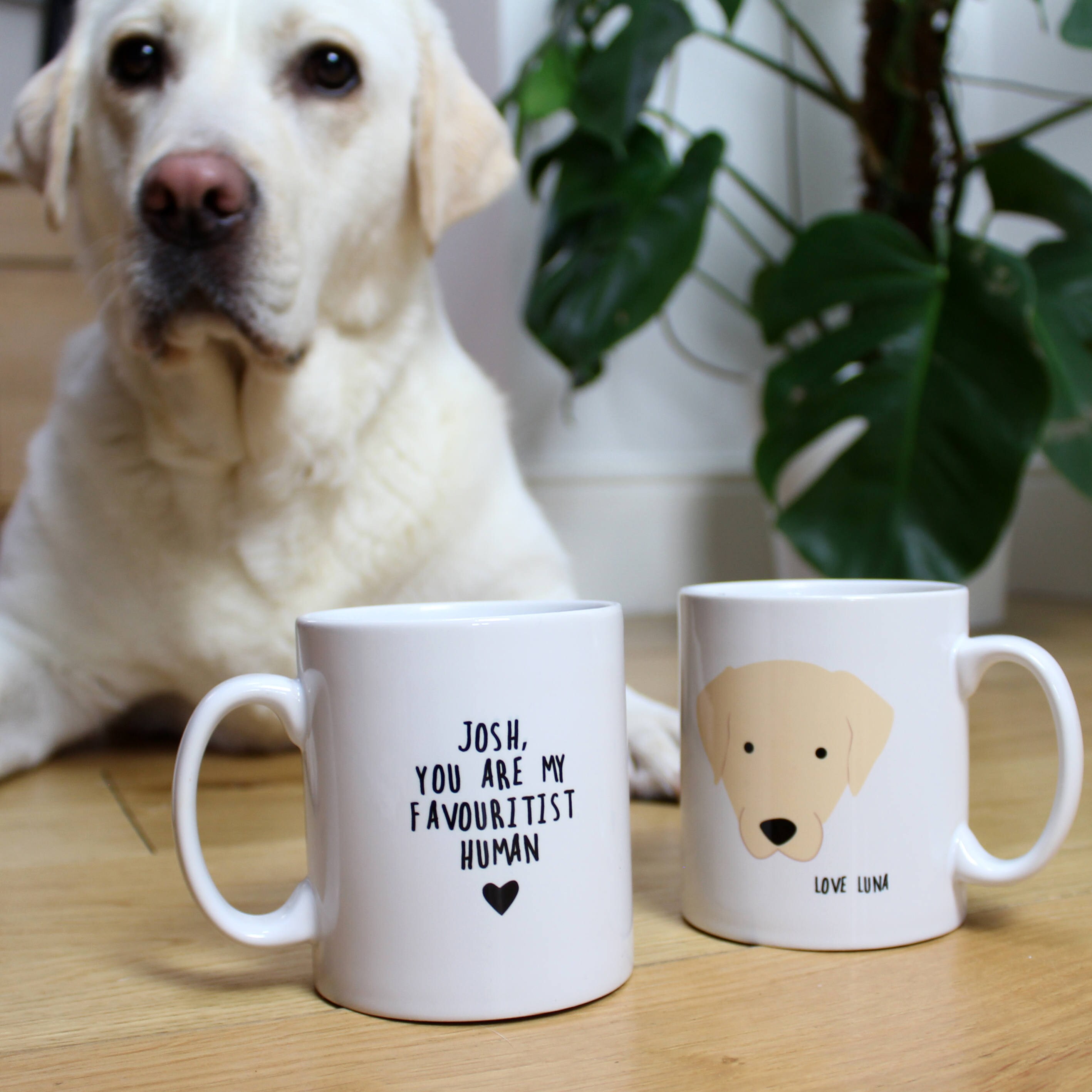 Favourite Human Personalised Dog Mug / Funny Mug / Labrador / Etsy UK