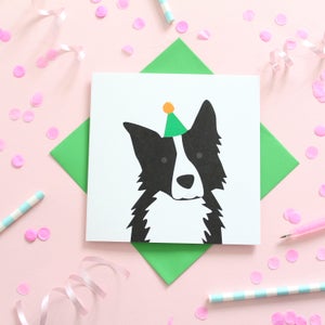 Border Collie Birthday Card