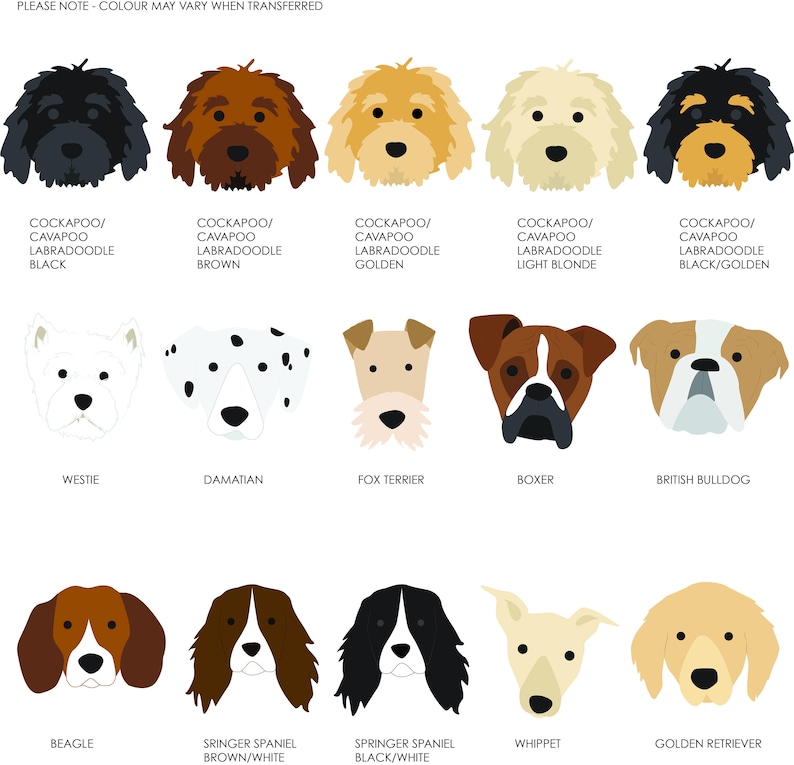 May include: A chart with illustrations of different dog breeds, including a Cockapoo, Westie, Dalmatian, Fox Terrier, Boxer, British Bulldog, Beagle, Springer Spaniel, Whippet, and Golden Retriever. The chart includes the breed name and color variations.