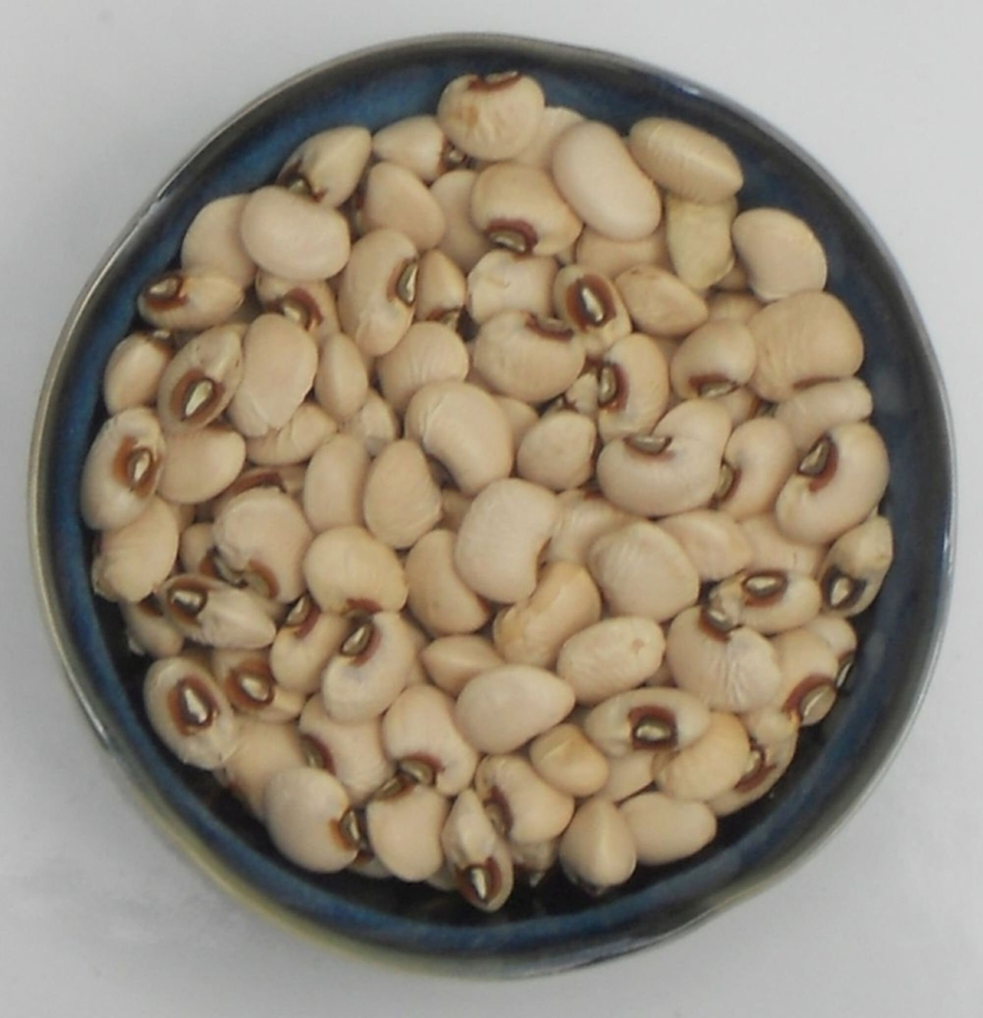 Pinkeye Purple Hull Cowpea Seed Southern Pea Field Seeds Etsy