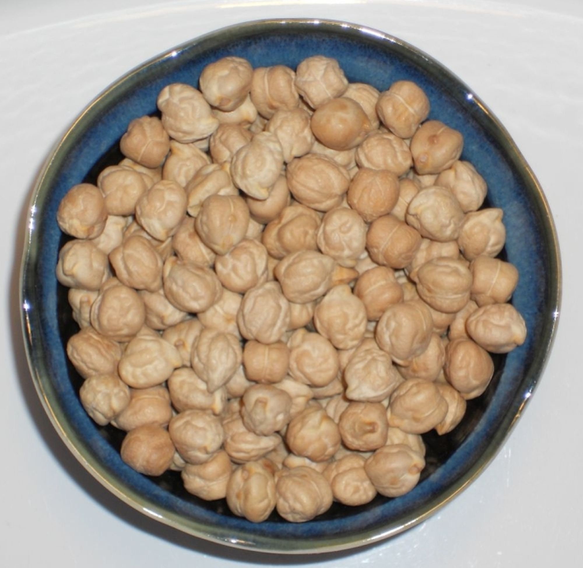 Chickpea Garbanzo Bean Seed Sierra Kabuli Chickpeas Chick Etsy