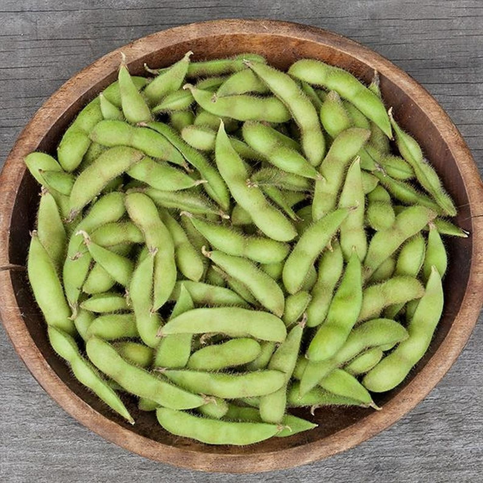 Chiba Green Edamame Soybean Seed Heirloom Gourmet Seeds Etsy