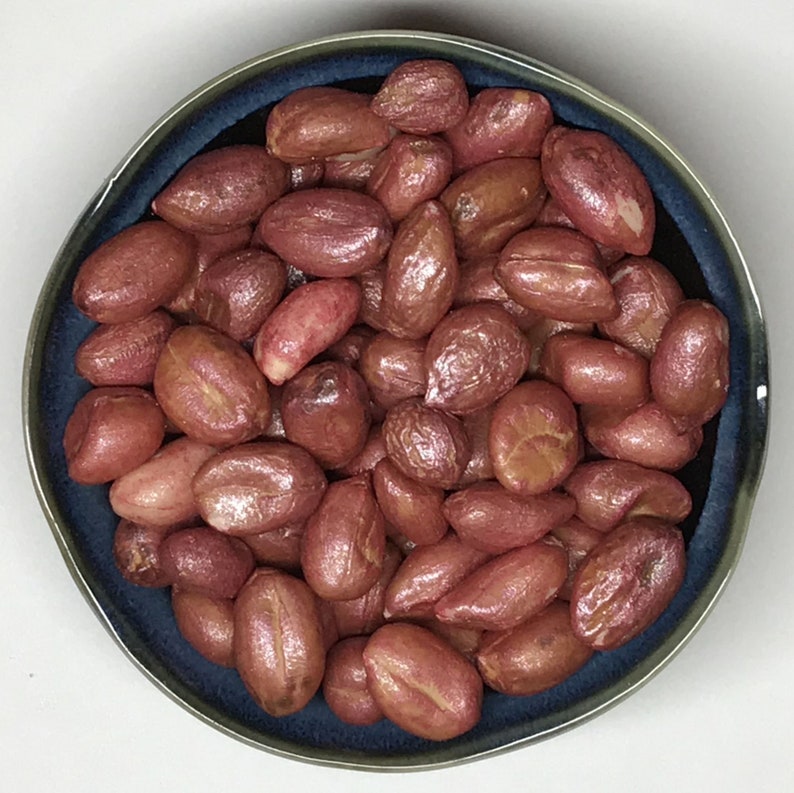 Peanut Seed Peanuts Groundnuts Certified Seeds Etsy
