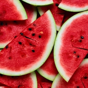 Black Diamond Watermelon Seed - Red Flesh Heirloom Melon Seeds (3.0gr to 30gr)