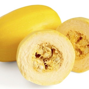 Spaghetti Squash Seed - Heirloom Winter Vegetable Garden Seeds (0.25oz or 1oz)