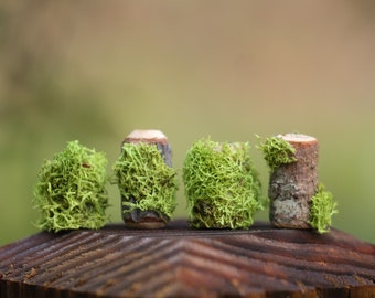 Bed of Earth - listing for 4 dread beads with moss on - wooden dread beads, dreadlock beads, dread accessories, dreadlocks